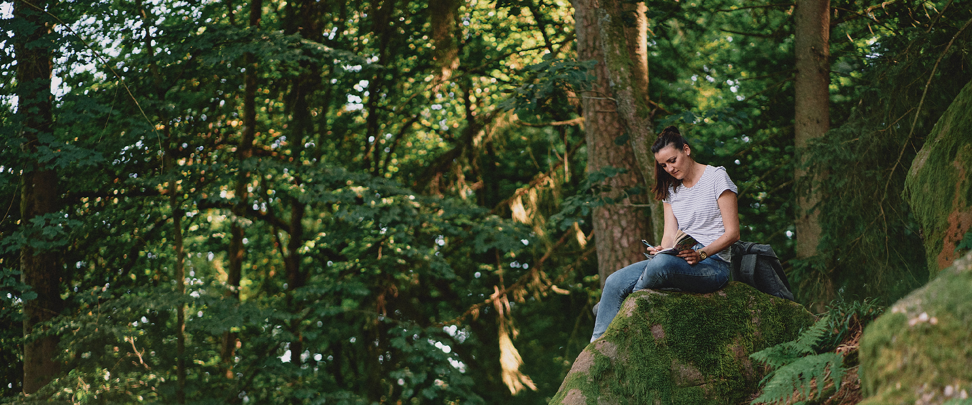 header-Nachhaltigkeit